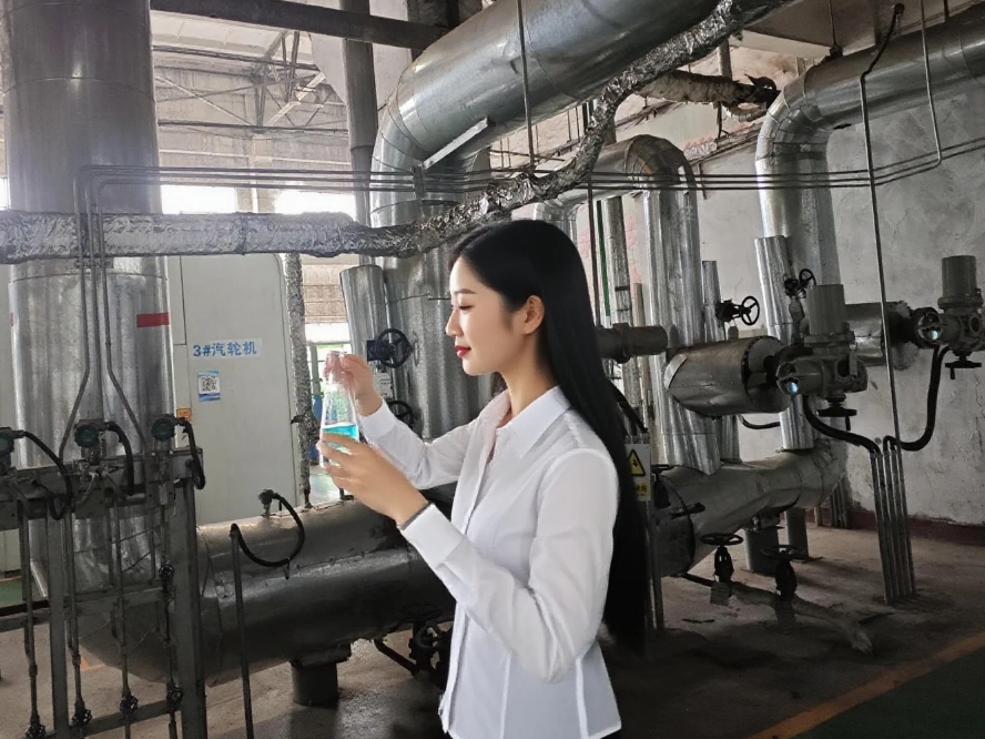 电厂蒸汽锅炉水汽系统